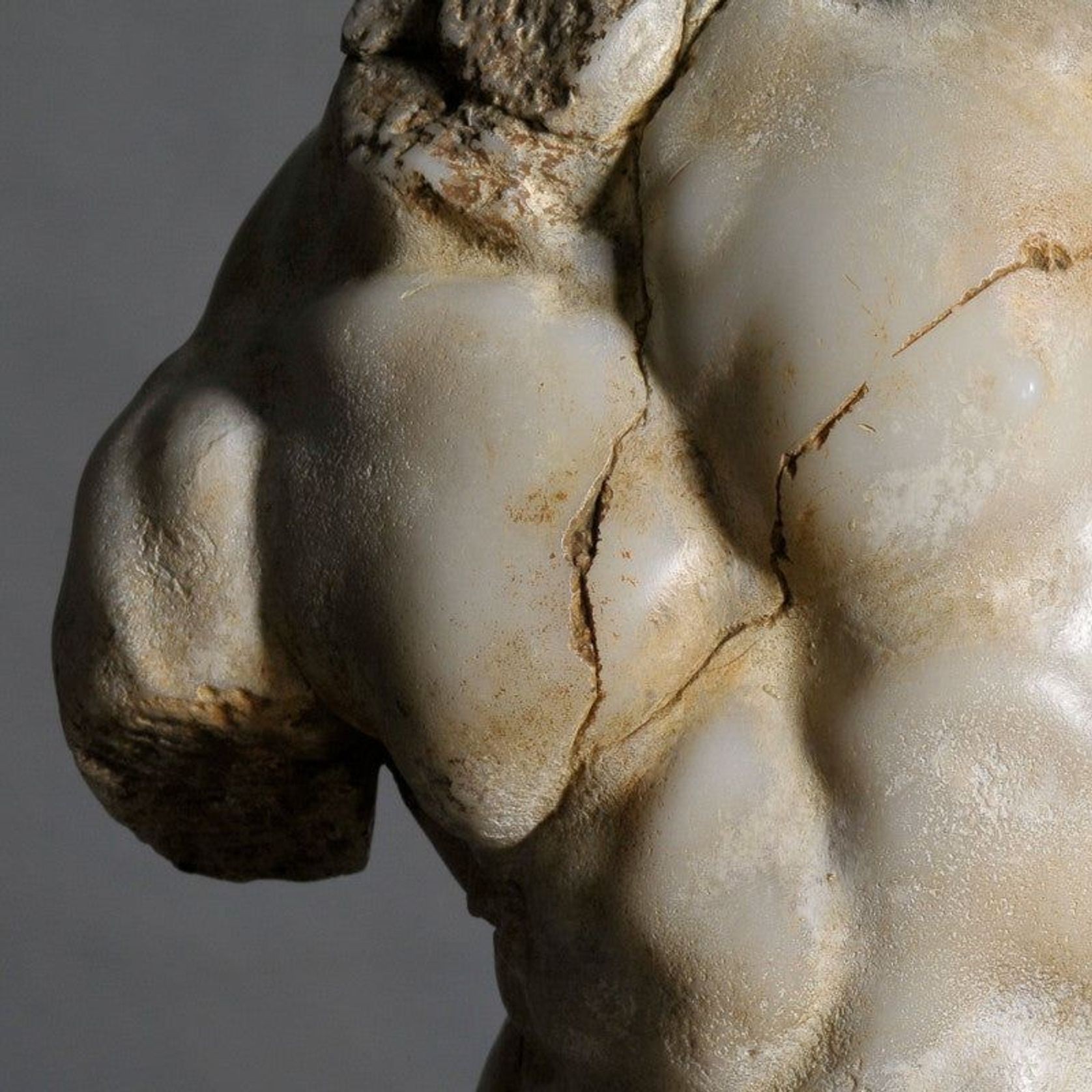 Apollo Torso gallery detail image