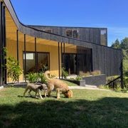 JSC TMT® Range  - Thermally Modified Timber gallery detail image