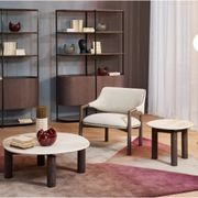 Elanta Lounge Armchair gallery detail image