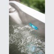 Repose | Pure Spa Pool gallery detail image