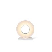 Cactus Table Lamp gallery detail image