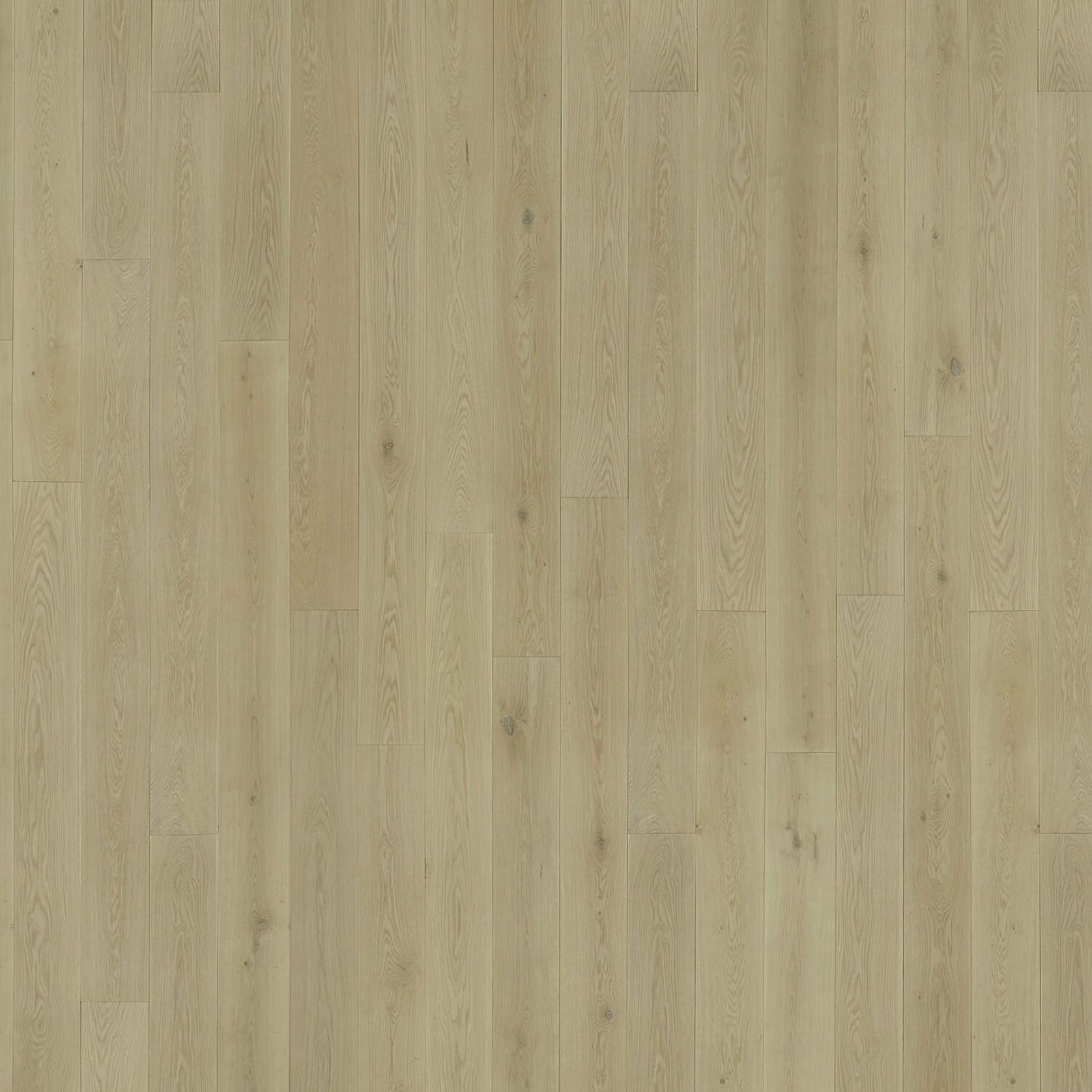 Bistre | Solid European Oak Floor Boards gallery detail image