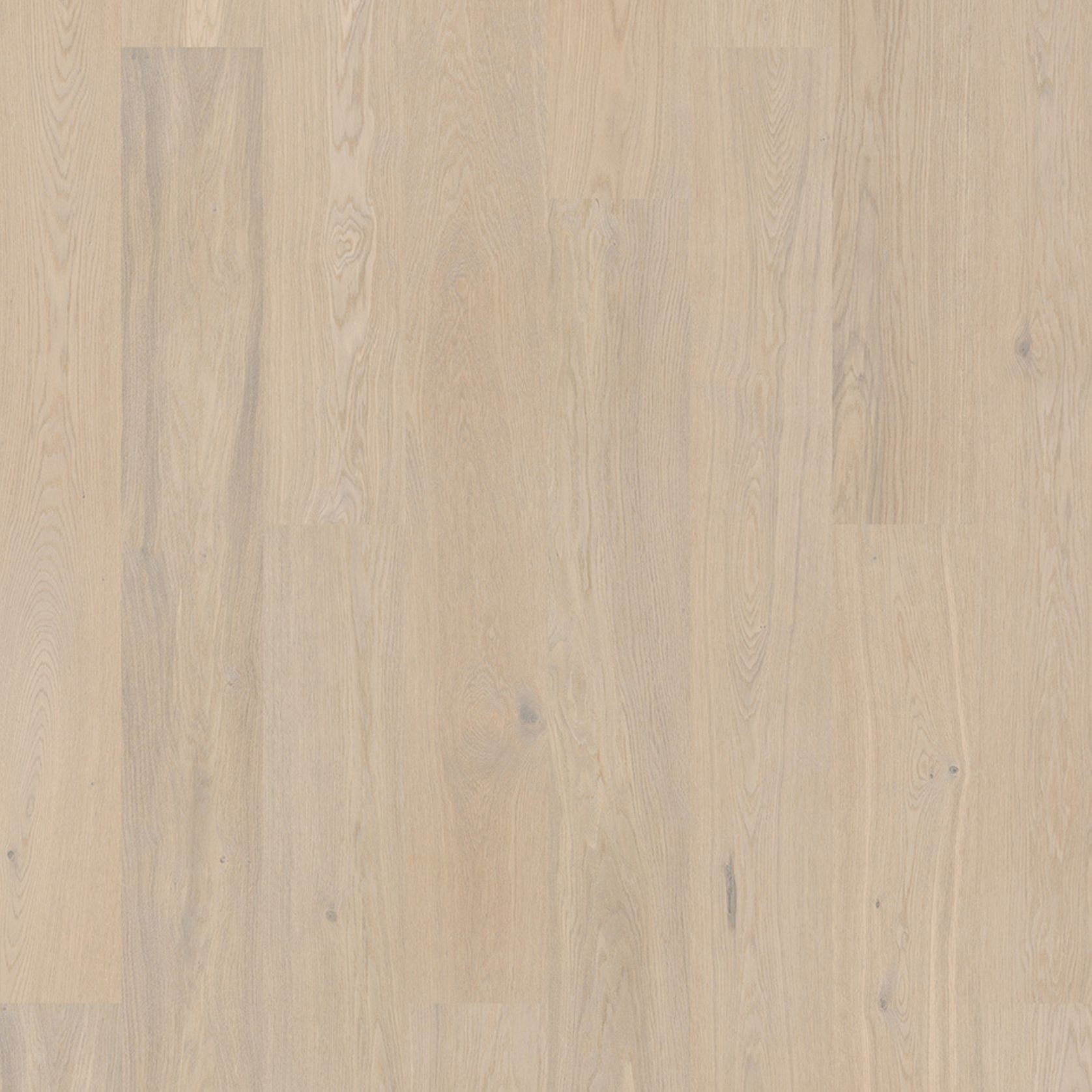 Bjelin M 151 Powder White Oak | Blend gallery detail image