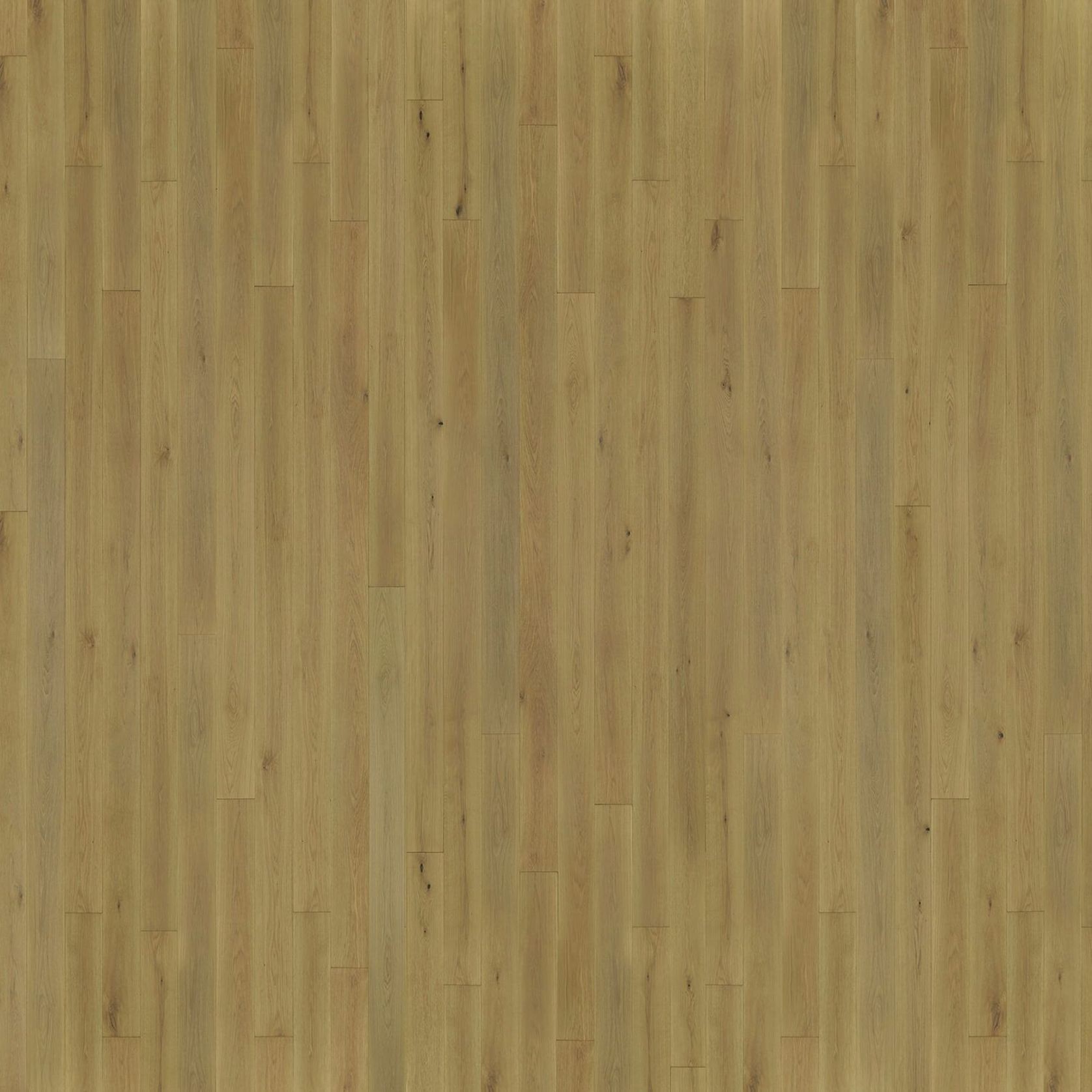Alpacca | Solid European Oak Floor Boards gallery detail image