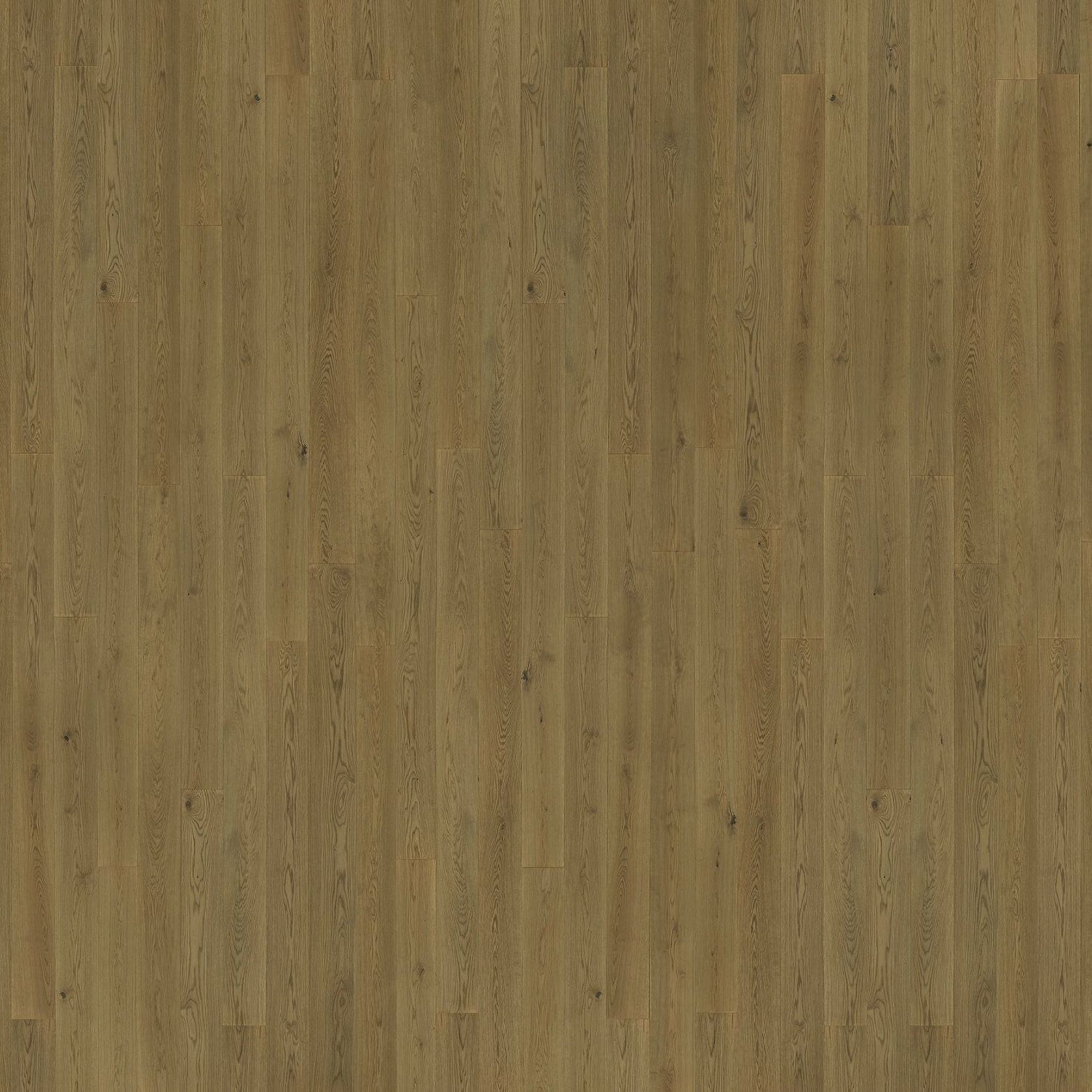 Kimber | Solid European Oak Floor Boards gallery detail image