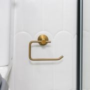 Lucid Pin Toilet Roll Ring Brushed Brass gallery detail image