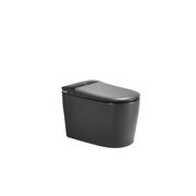 Smart Toilet Matte Grey gallery detail image