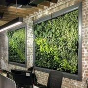 Gro-Wall® Slim Line Vertical Gardens gallery detail image