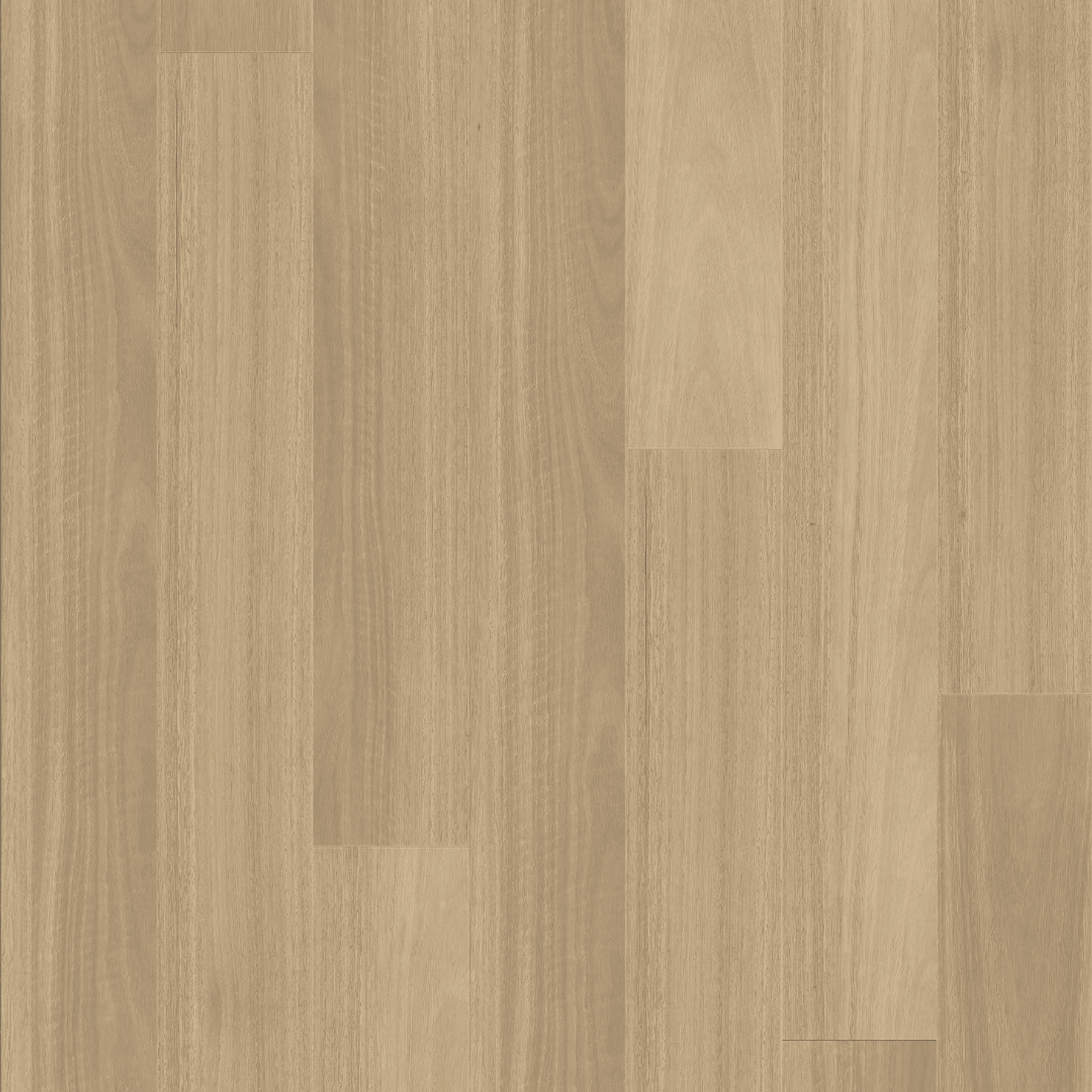 Kingswood Australis | Linen Gum gallery detail image