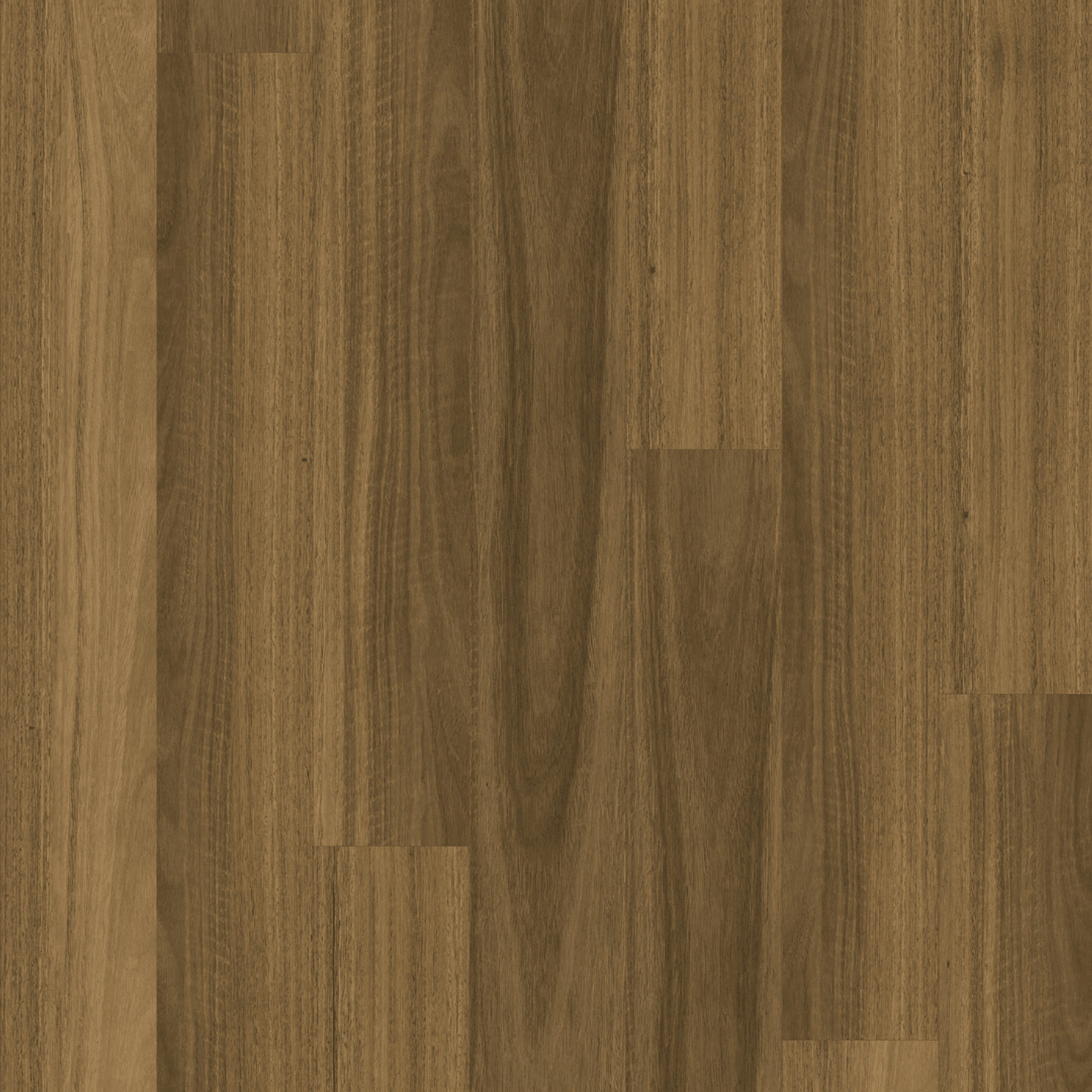 Kingswood Australis | Silky Gum gallery detail image