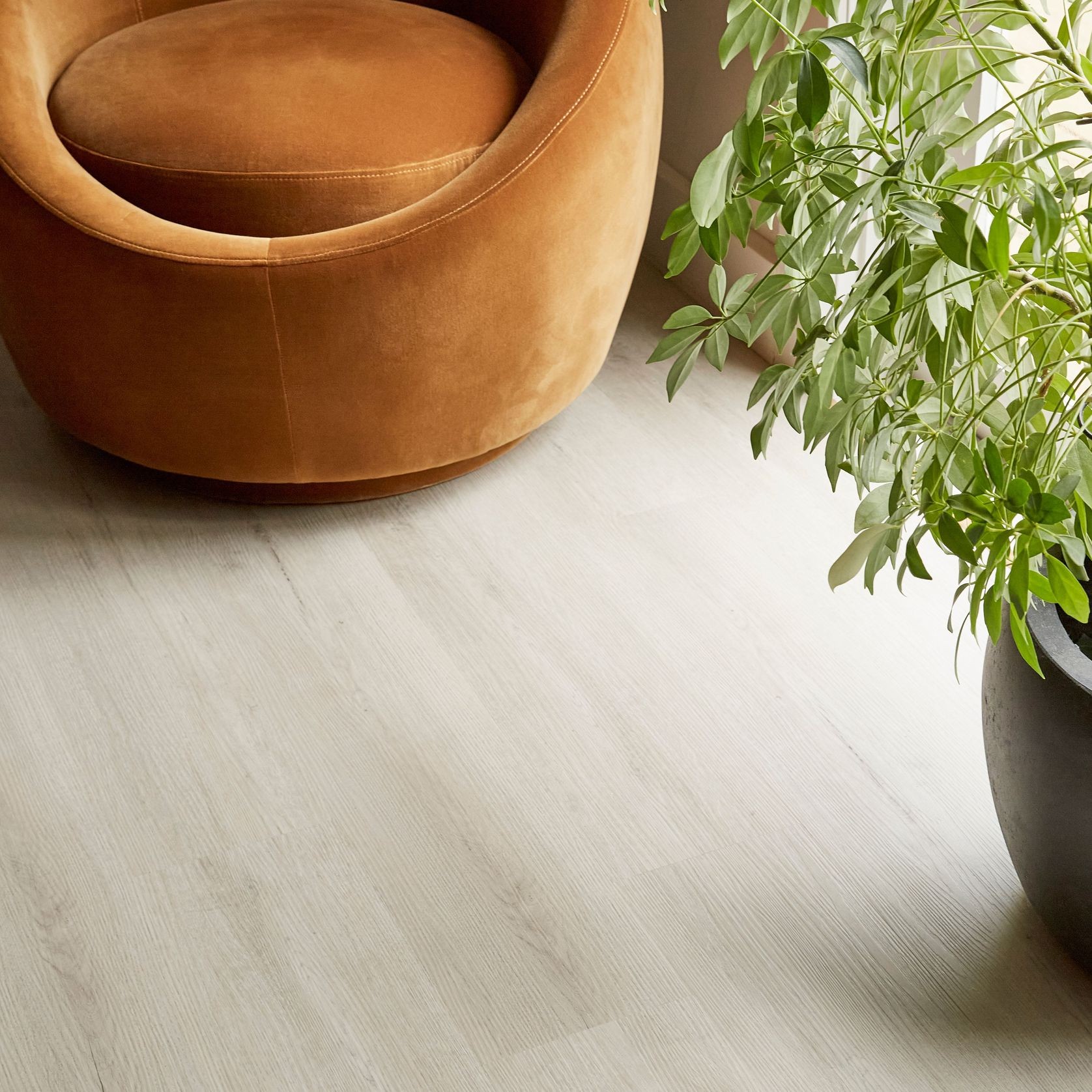 Kingswood 1.5 | Tasmanian Hardwood Classic gallery detail image