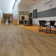 Timberline Plus | Well Versed Plus gallery detail image