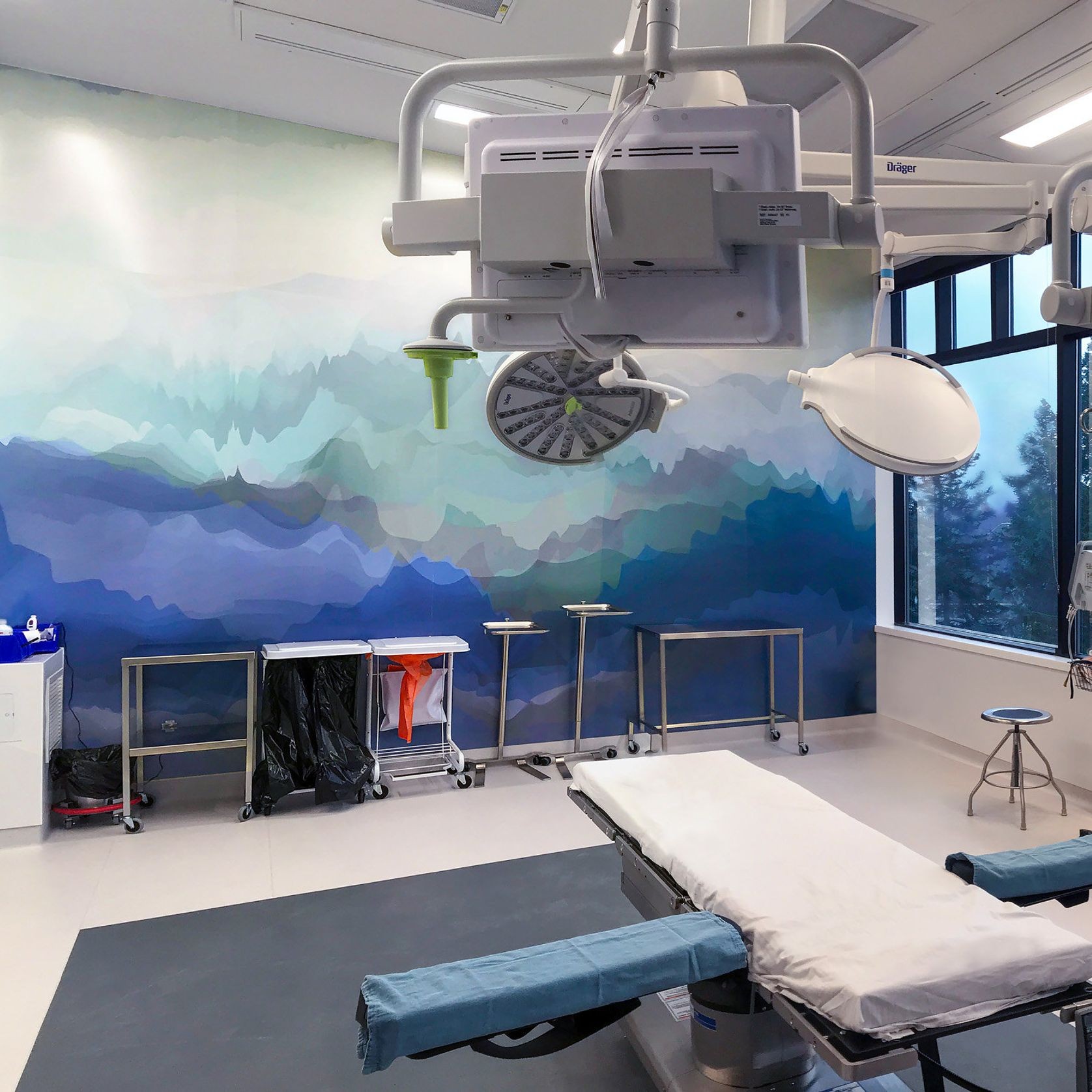 Altro Whiterock Digiclad™ Custom Printed Hygienic Wall Lining gallery detail image