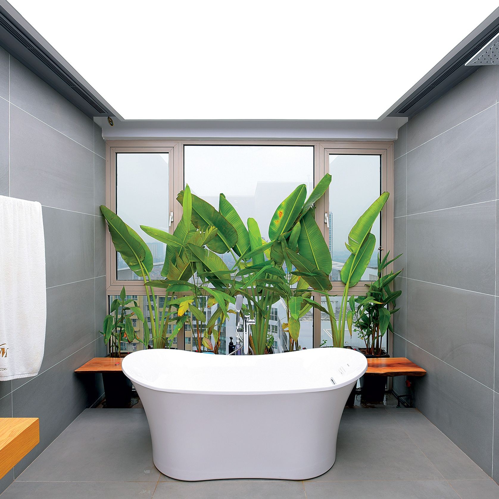 Barrisol Translucents® gallery detail image