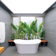 Barrisol Translucents® gallery detail image