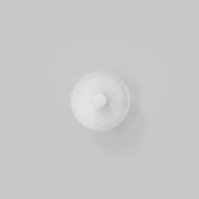 Coral Wall Light gallery detail image