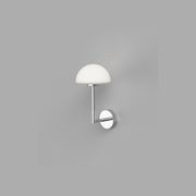 Dome Long Arm Wall Light gallery detail image