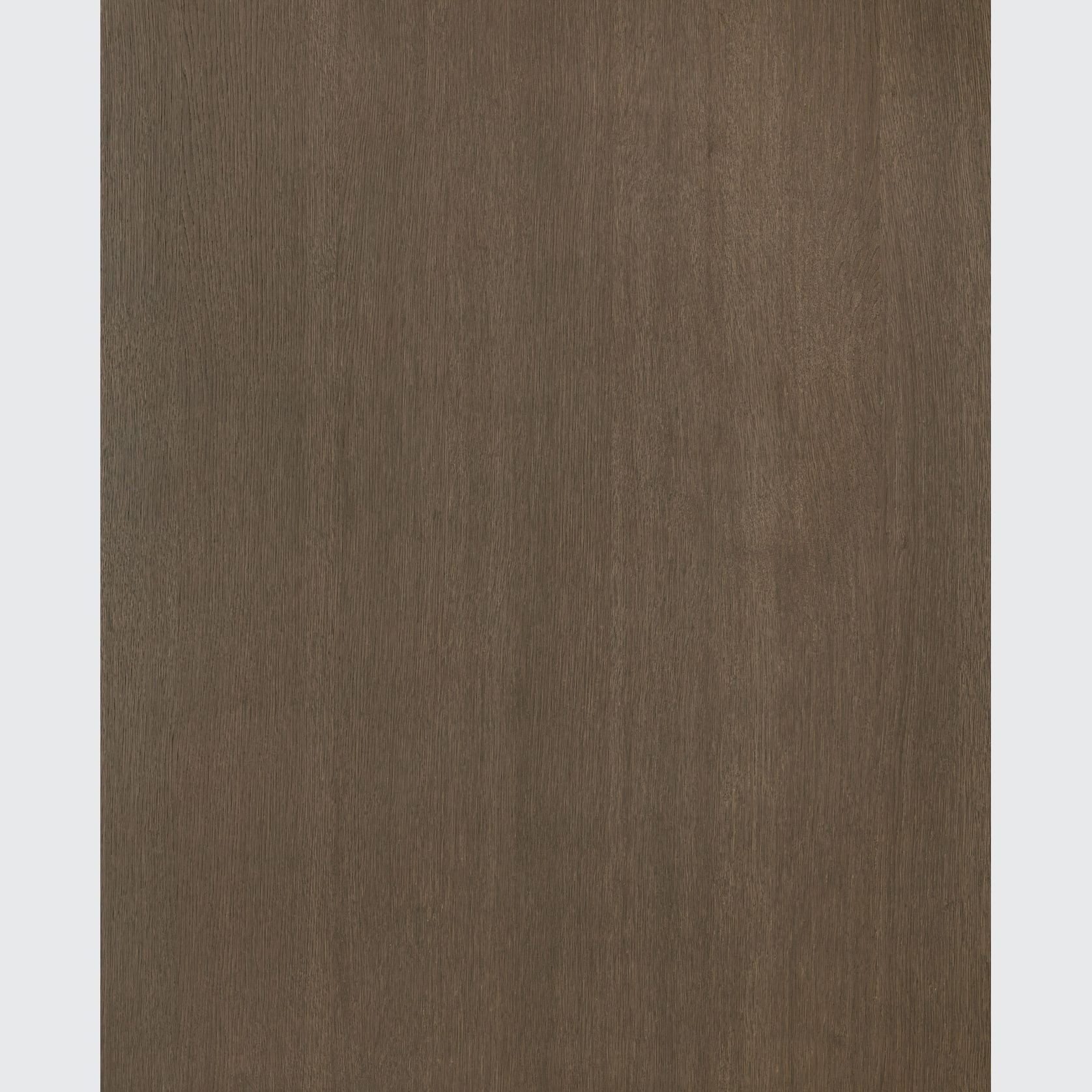 Alor Ochre Oak 1F1B 2440mm Veneer Panel gallery detail image