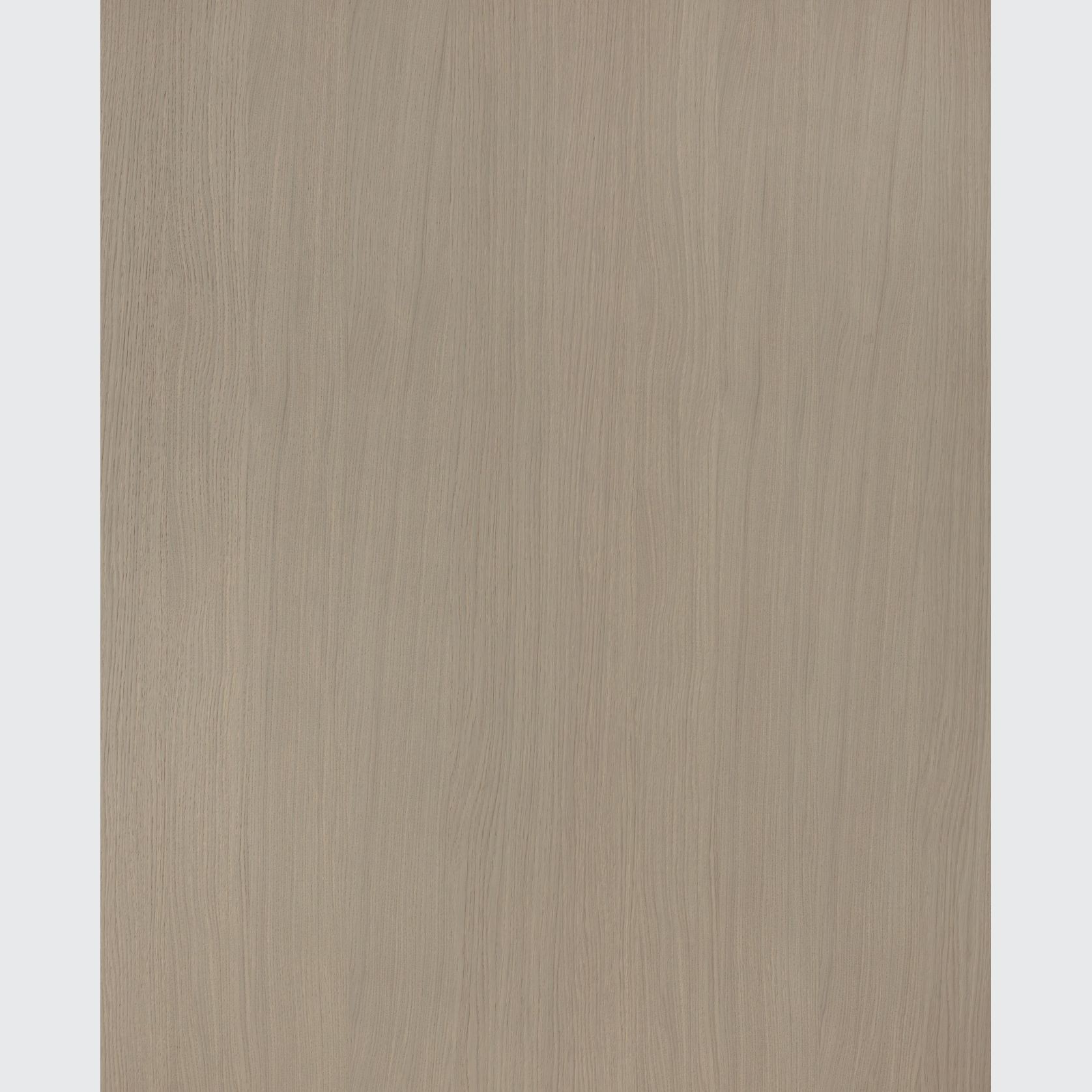 Alor Asta Oak 1F1B 3050mm Veneer Panel gallery detail image