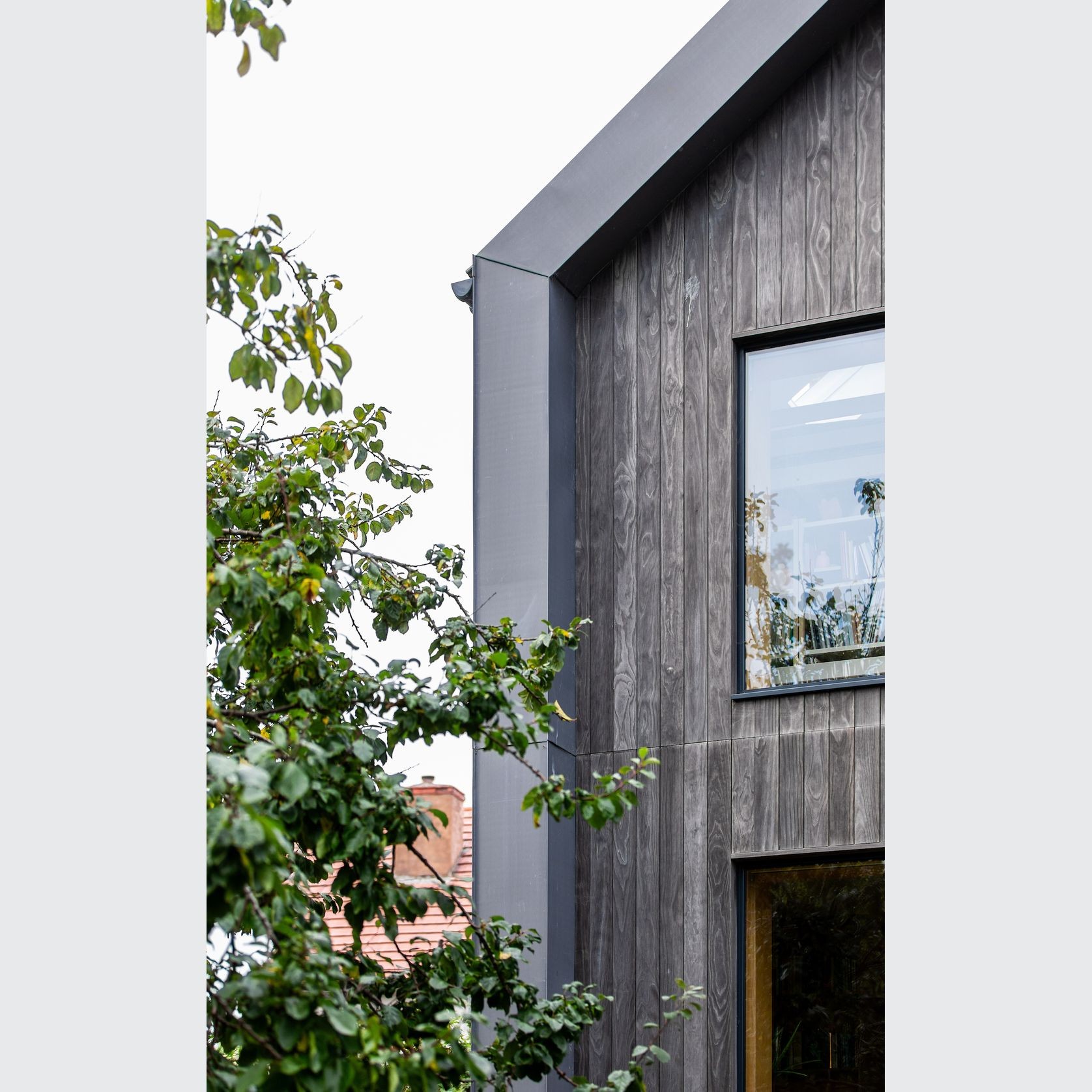 Accoya Color Grey gallery detail image
