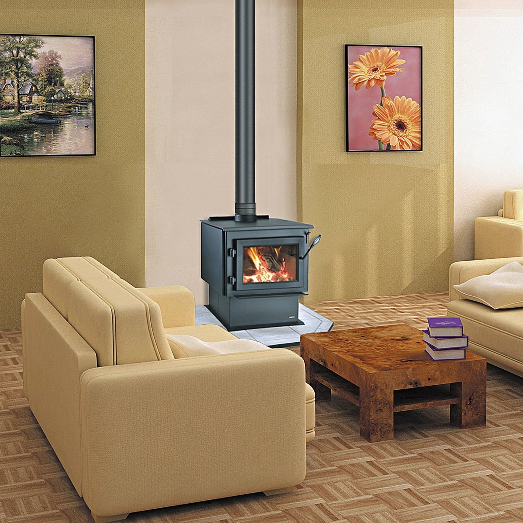 Heatilator WS18 Eco Choice With a 4m Flue Kit gallery detail image