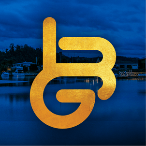 LBG Builders company logo