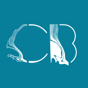 CB ARCHITECTURE + DESIGN company logo