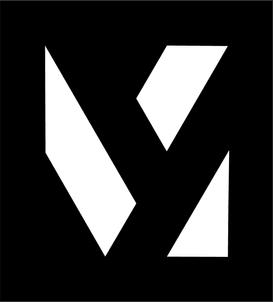 Voxely Studio company logo