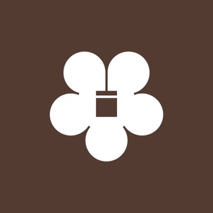 Natural Paint Co company logo