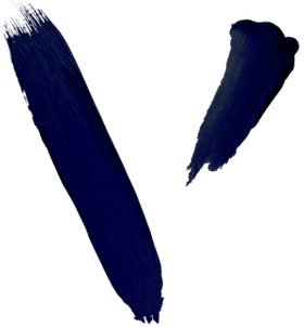 The Visuals company logo