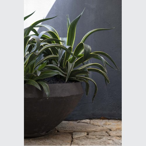 Bronze Woodfired Water Bowl