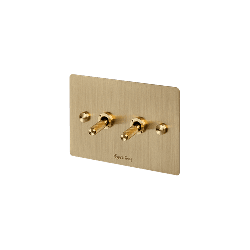 Brass Buster+Punch 2 Toggle Switch