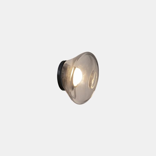 Transparent Agua Wall Light