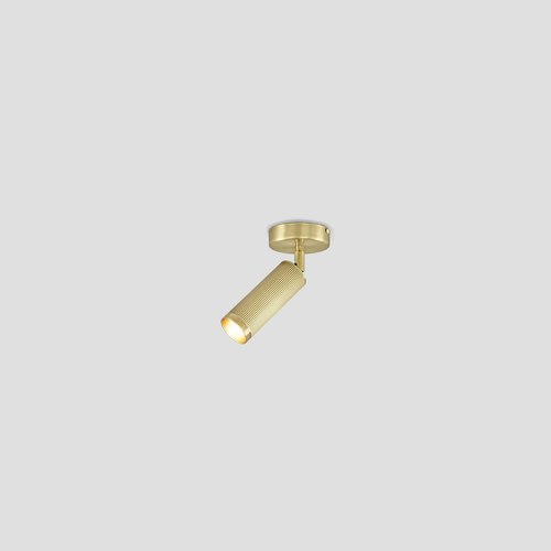 Satin Brass Spot Ceiling Light