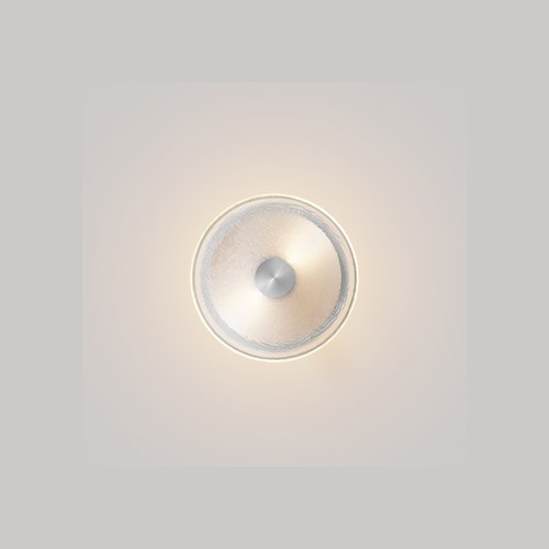 Steel Finish Coral Wall Light