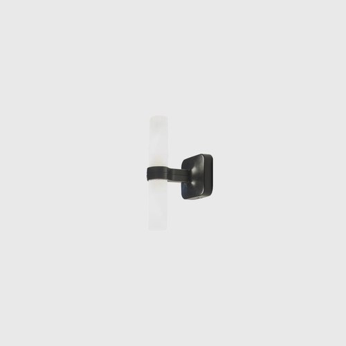 Black Crown Applique Wall Light